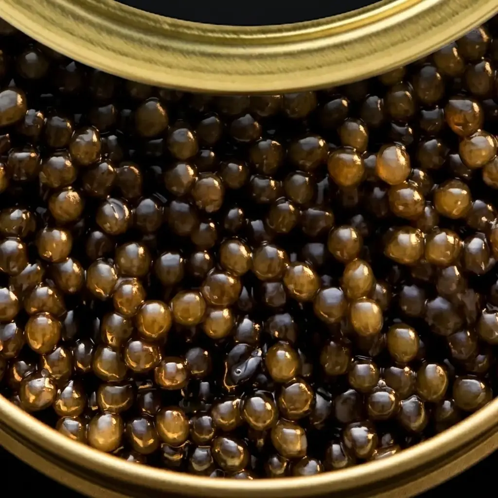 Macro close-up of Kaluga Queen caviar pearls in a gold tin